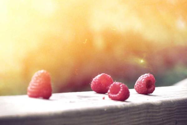 展示海量药品信息概念的视觉内容