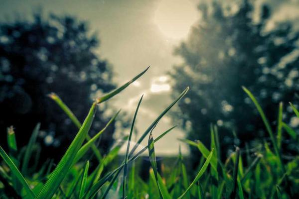 与跨境电商数据分析痛点与美手解决方案相关的创意图片