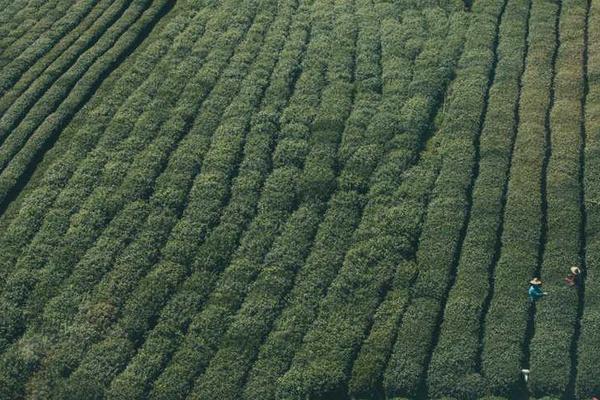 欧美和亚洲在宗教相关的高质量图像