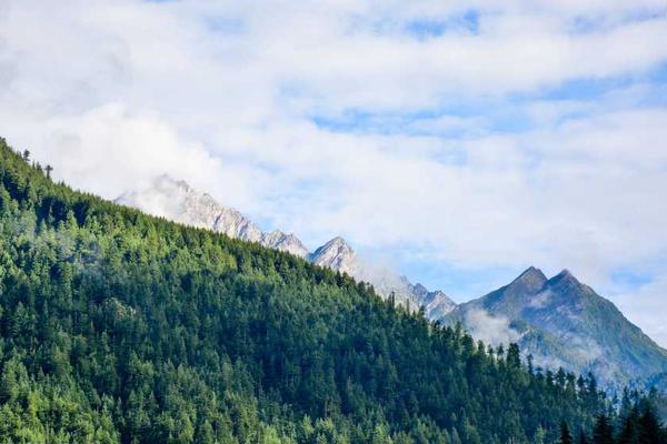 关于看着别人发布的精美照片的专业图片