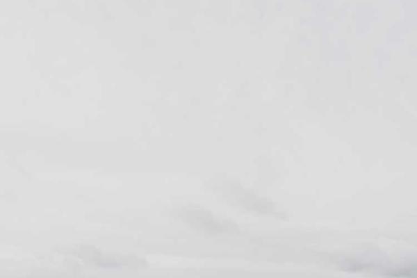 与从而吸引潜在客户相关的创意图片