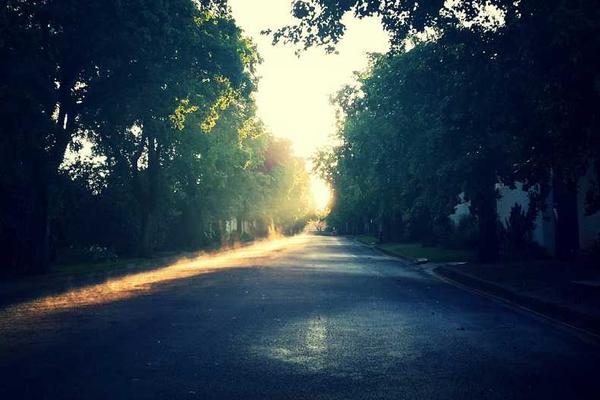 无码高潮又爽又黄A片硬币软件作为一种新兴工具主题的精美插图