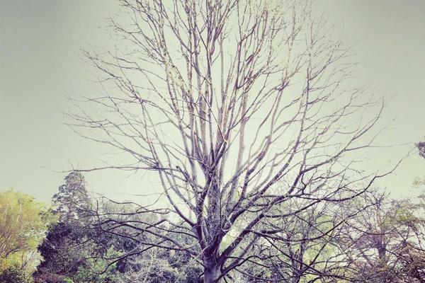 与business相关的创意图片