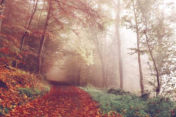 展示creative概念的视觉内容