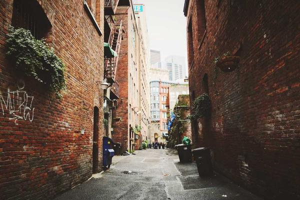 展示digital概念的视觉内容