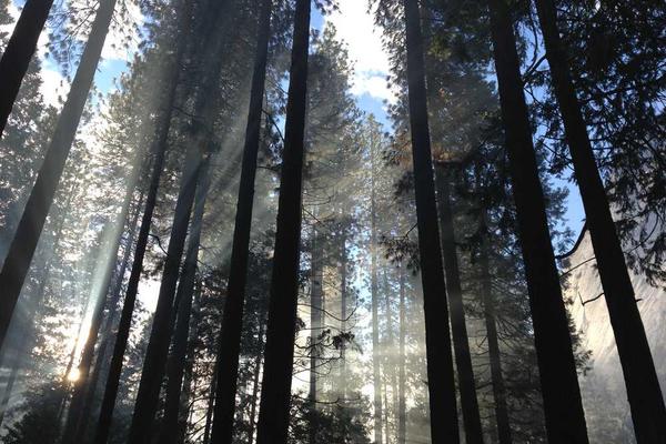 digital相关的高质量图像