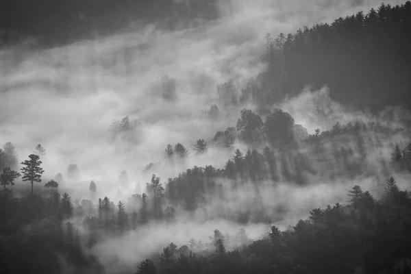 digital相关的高质量图像