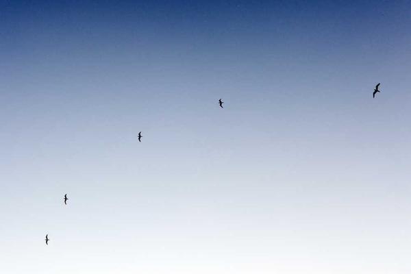 growth主题的精美插图