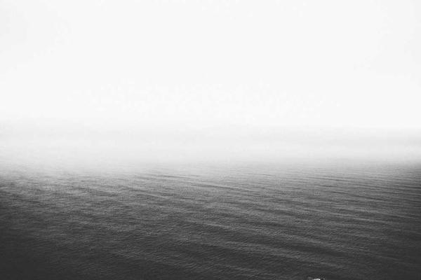 growth相关的高质量图像