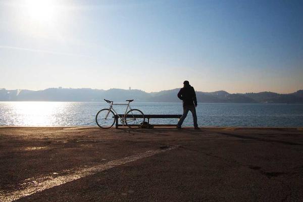 growth相关的高质量图像