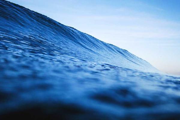 growth主题的精美插图