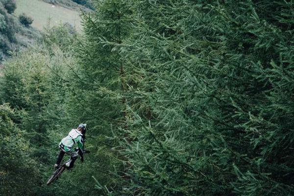 关于modern的专业图片