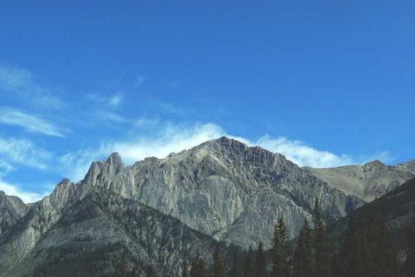 modern相关的高质量图像