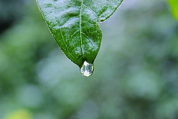 关于modern的专业图片