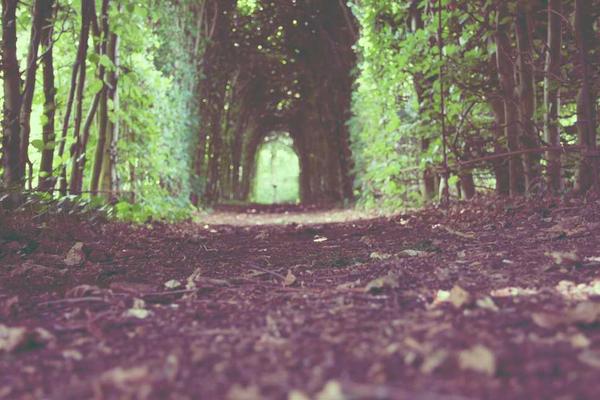 展示modern概念的视觉内容