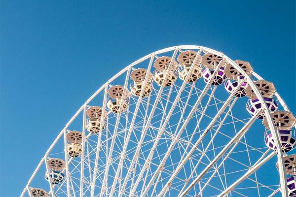 展示professional概念的视觉内容