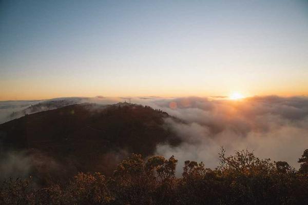 关于success的专业图片