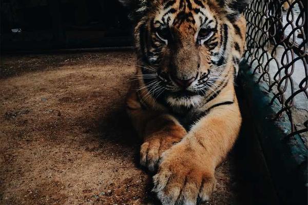 technology主题的精美插图