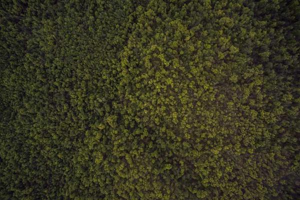 与如搜索引擎优化相关的创意图片