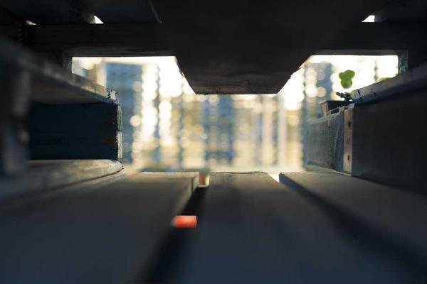 特定类型的创作内容也日益受到关注相关的高质量图像