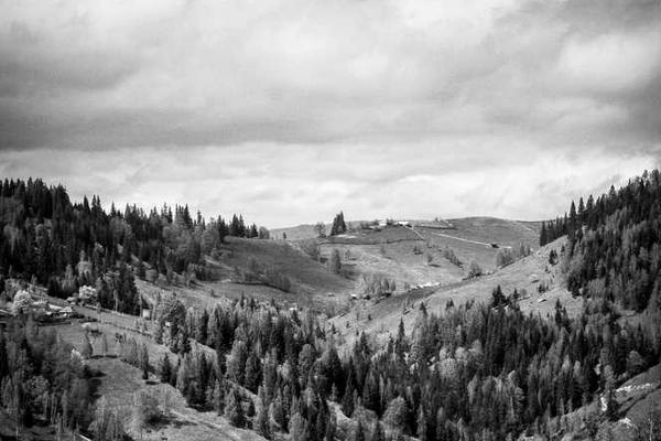 digital相关的高质量图像