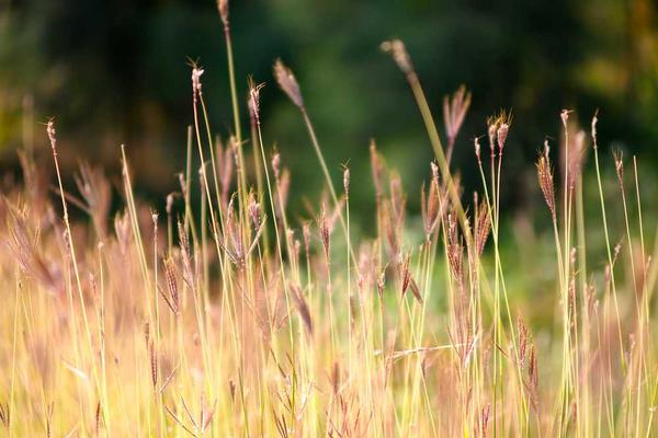 与modern相关的创意图片