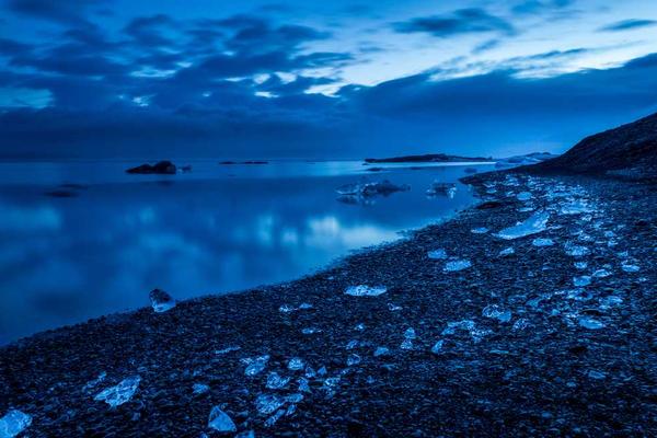 与professional相关的创意图片