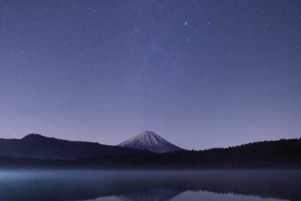 展示success概念的视觉内容